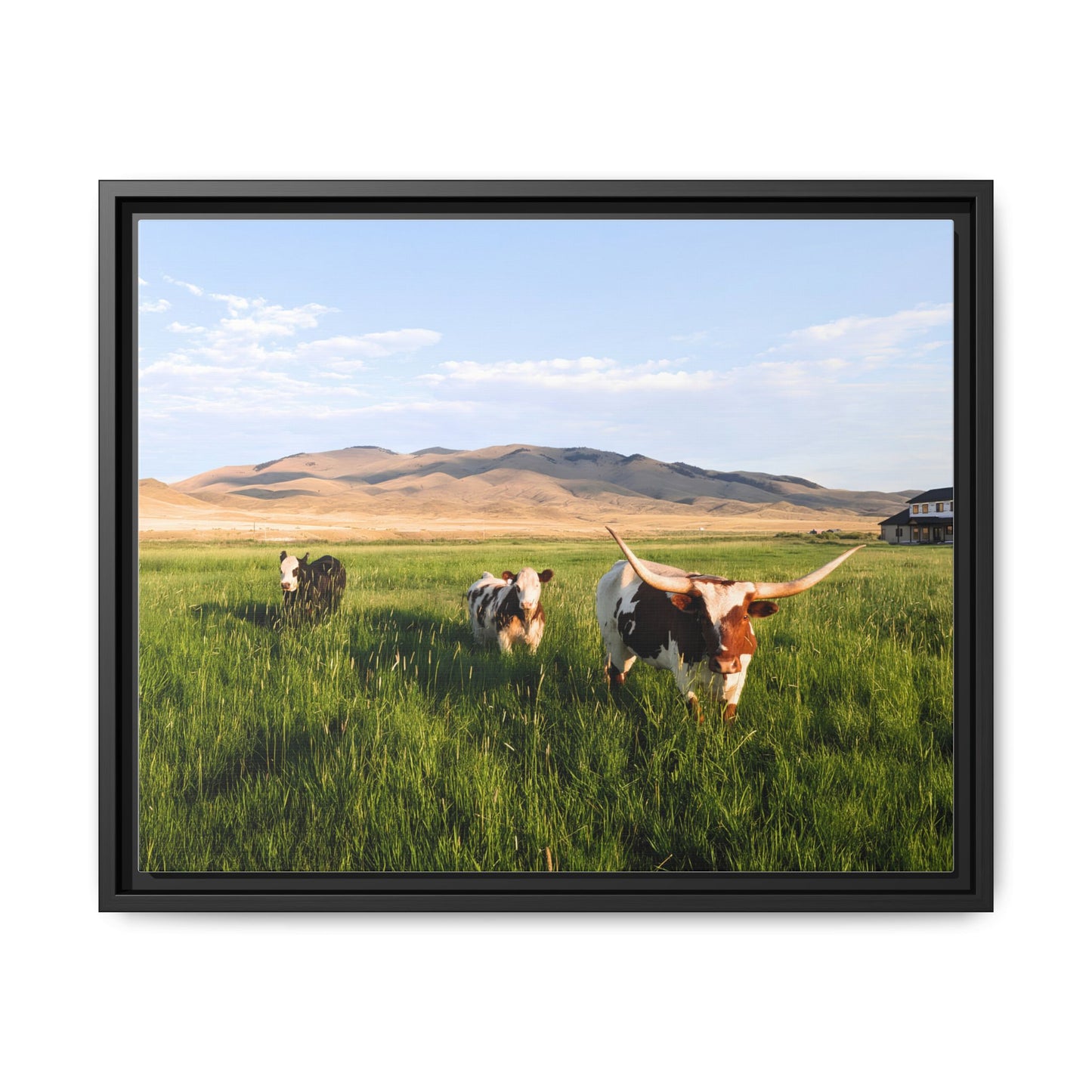 Grasslands Metal Printed Frame