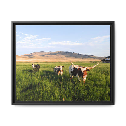 Grasslands Metal Printed Frame