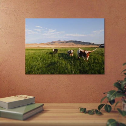 Grasslands Aluminum Composite Panels