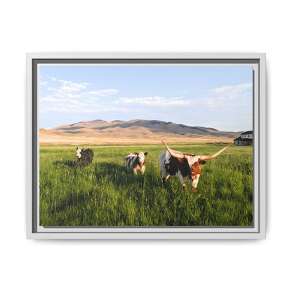 Grasslands Metal Printed Frame