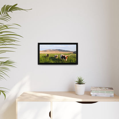 Grasslands Metal Printed Frame
