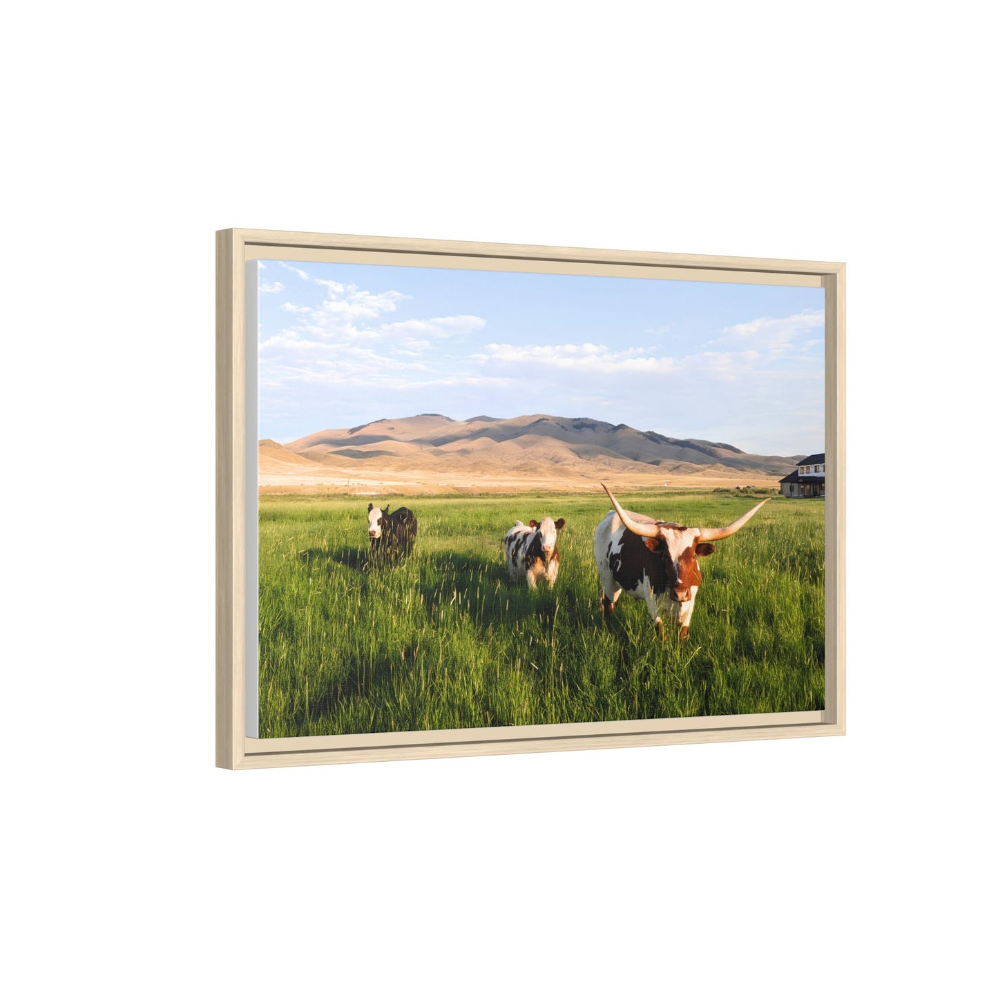 Grasslands Metal Printed Frame