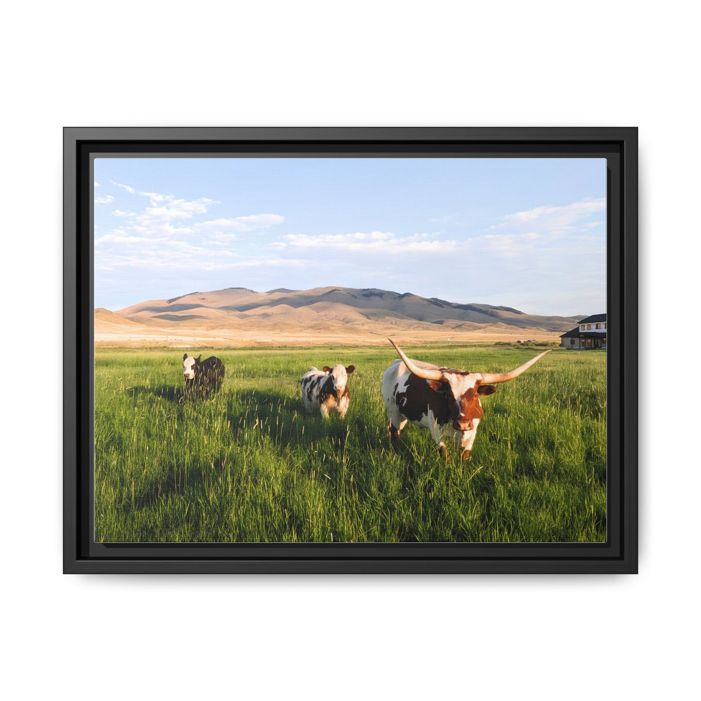 Grasslands Metal Printed Frame