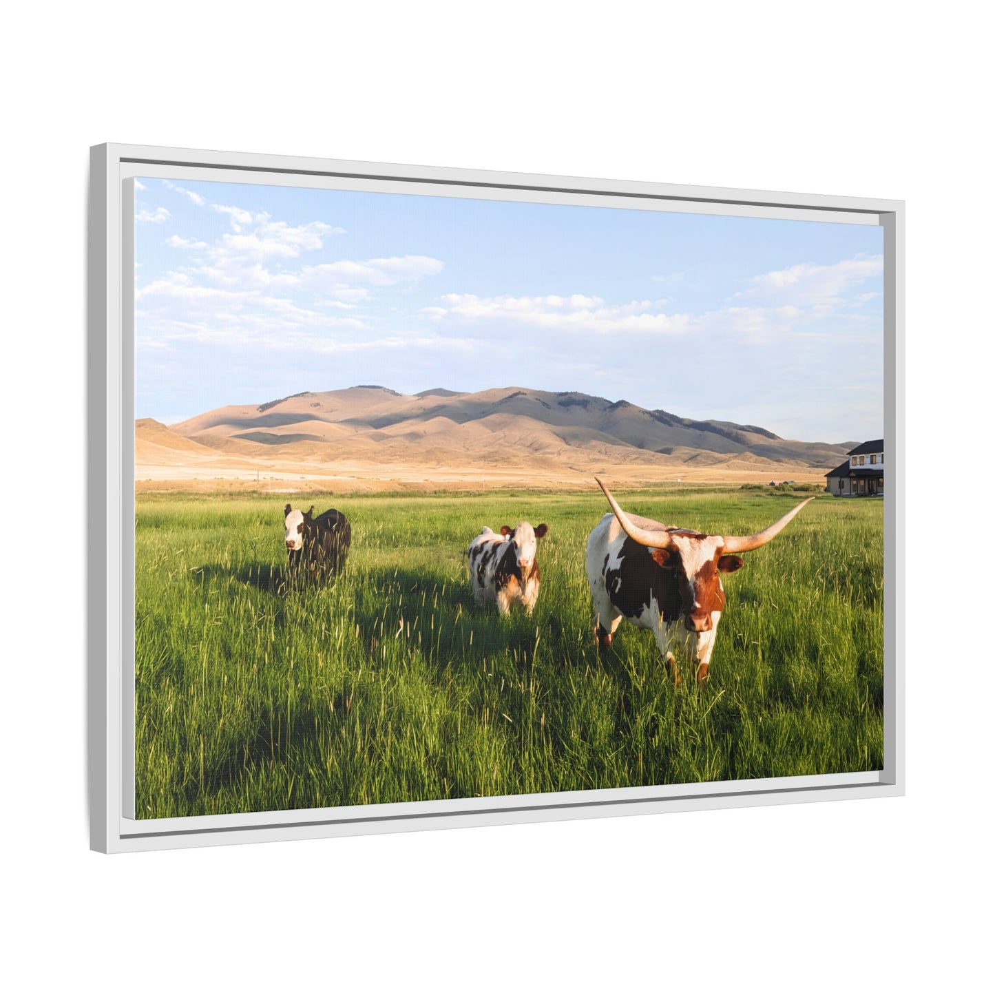 Grasslands Metal Printed Frame