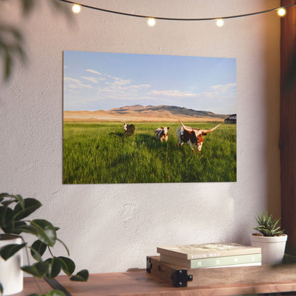 Grasslands Aluminum Composite Panels