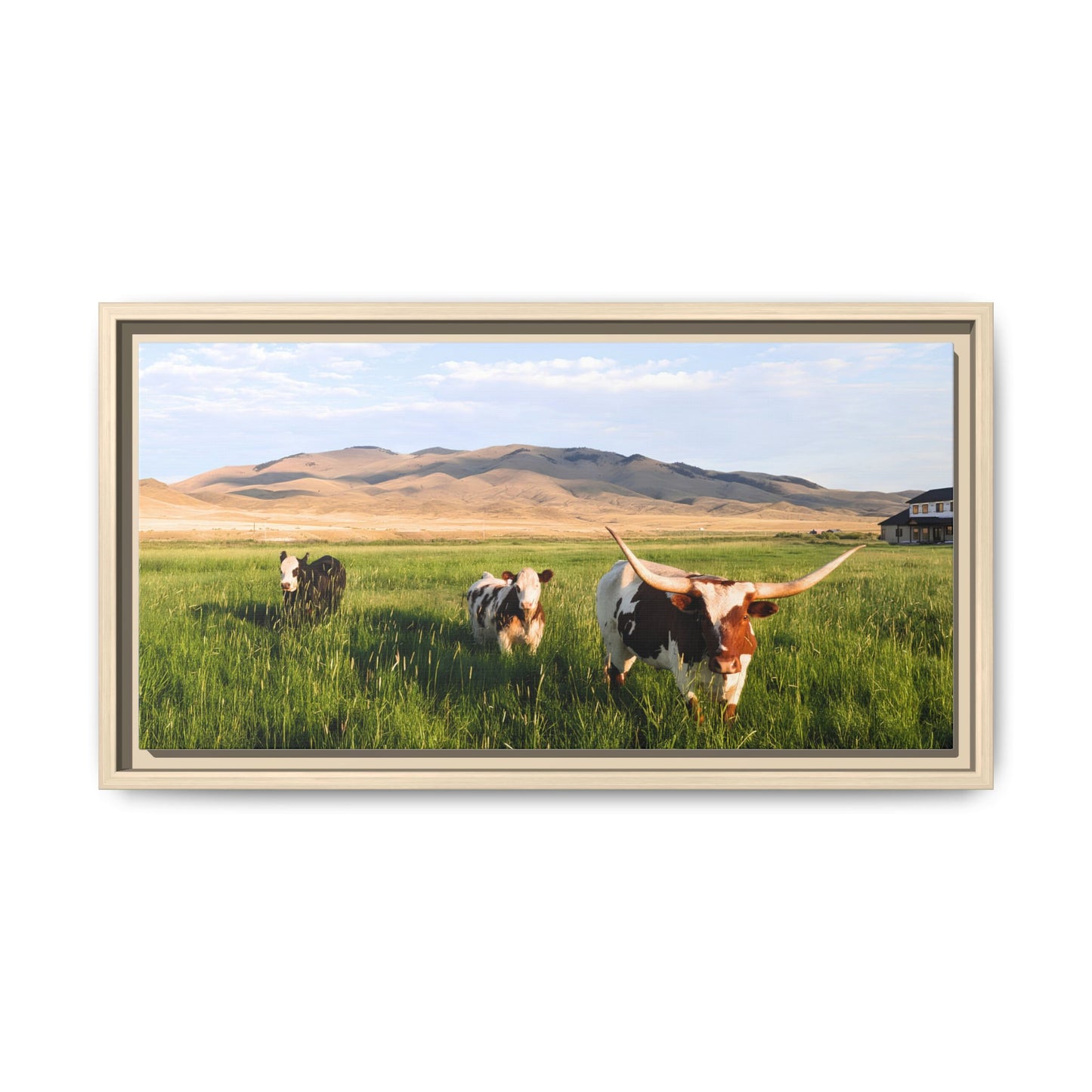 Grasslands Metal Printed Frame