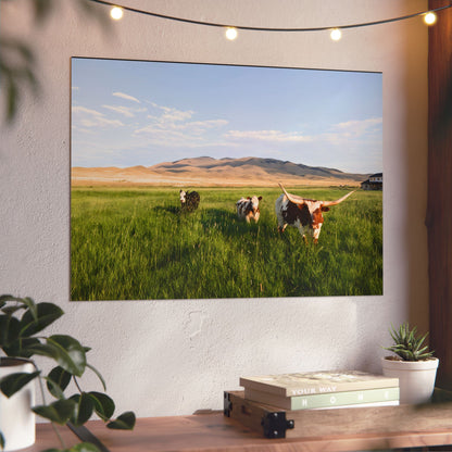 Grasslands Aluminum Composite Panels
