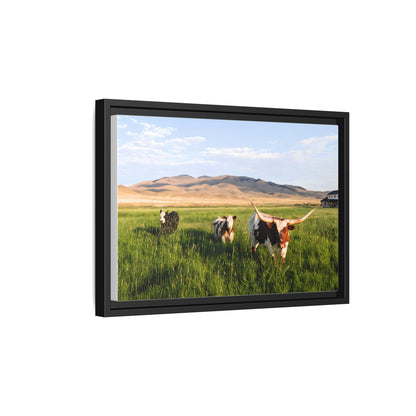 Grasslands Metal Printed Frame
