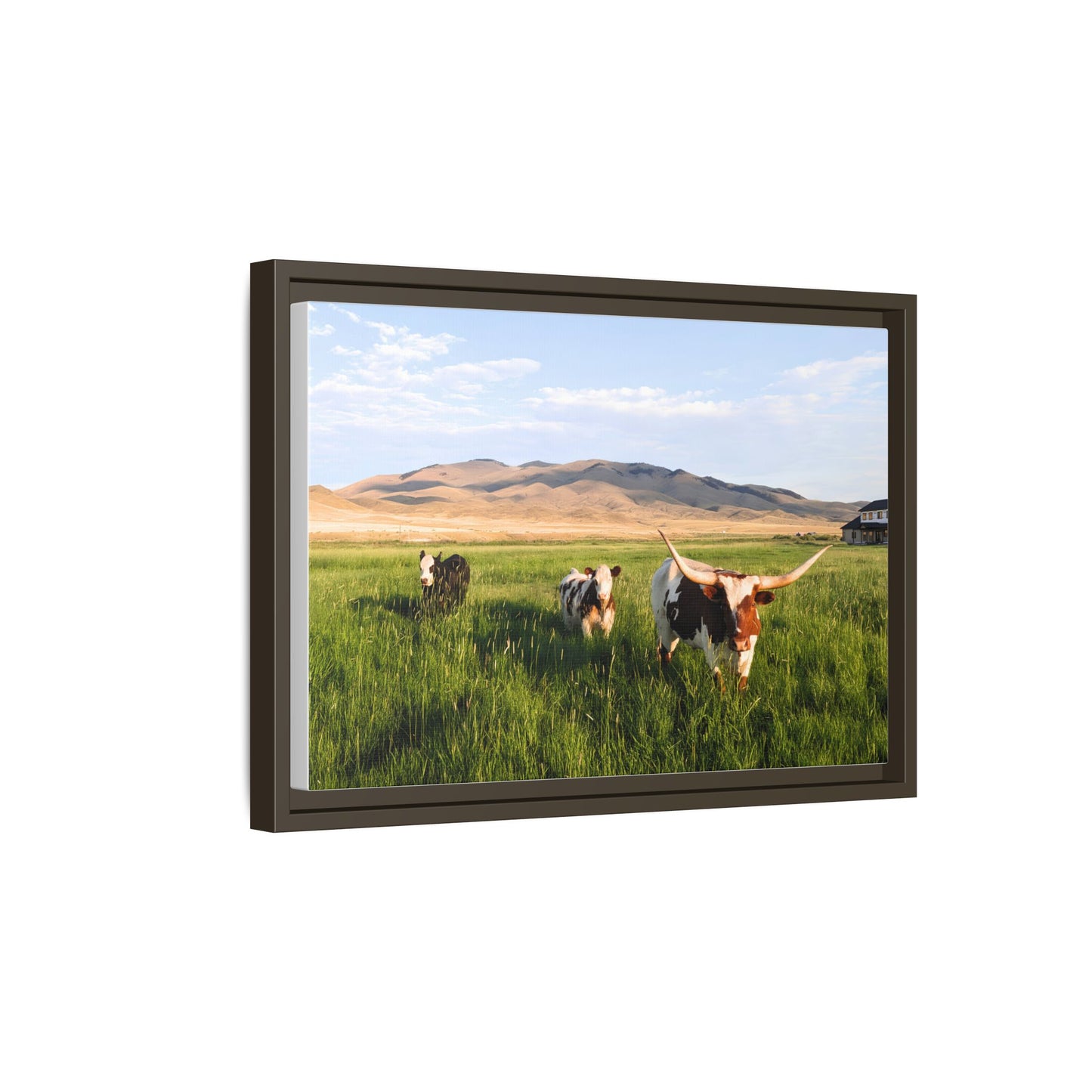 Grasslands Metal Printed Frame