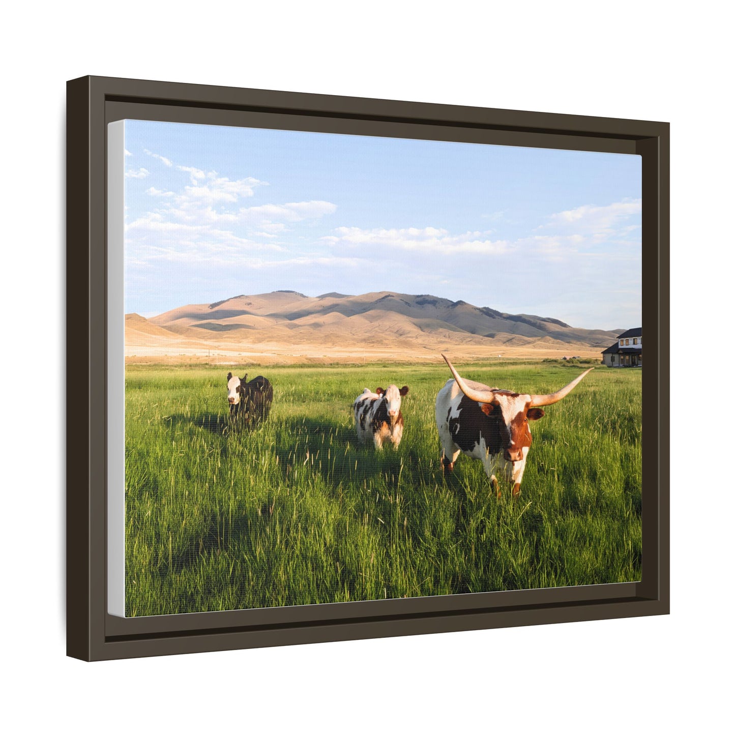 Grasslands Metal Printed Frame