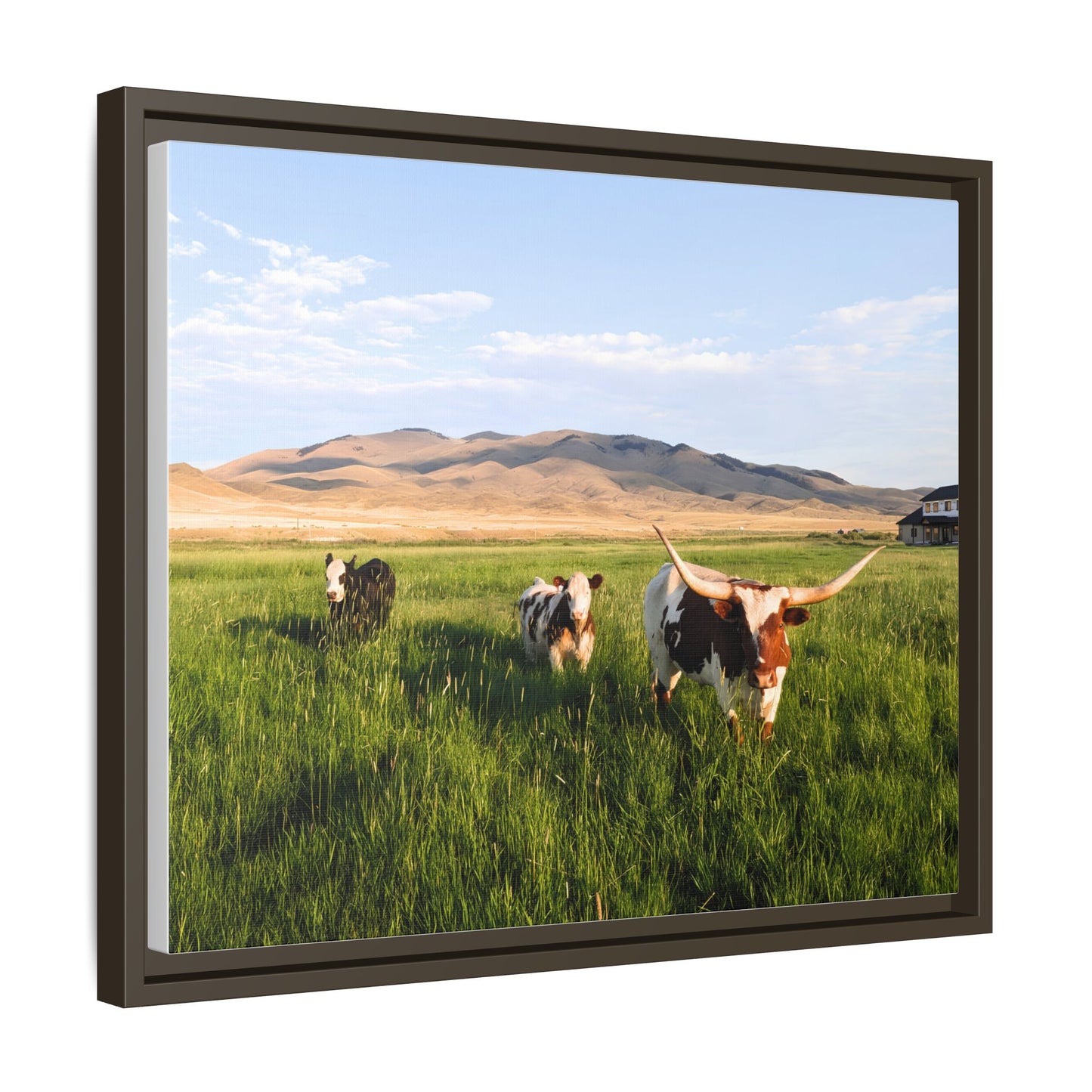 Grasslands Metal Printed Frame