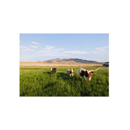 Grasslands Aluminum Composite Panels
