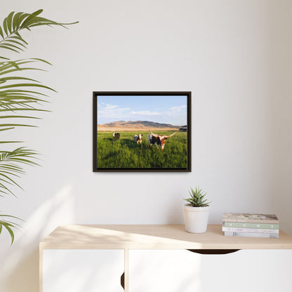 Grasslands Metal Printed Frame