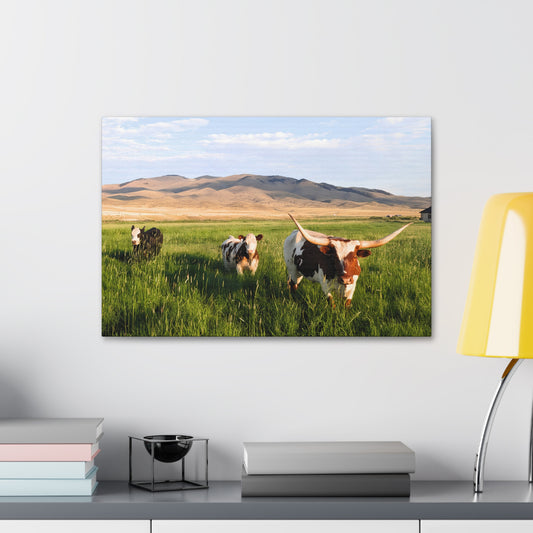 Grasslands Canvas