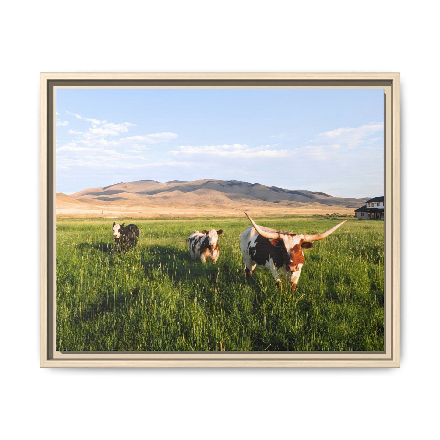 Grasslands Metal Printed Frame