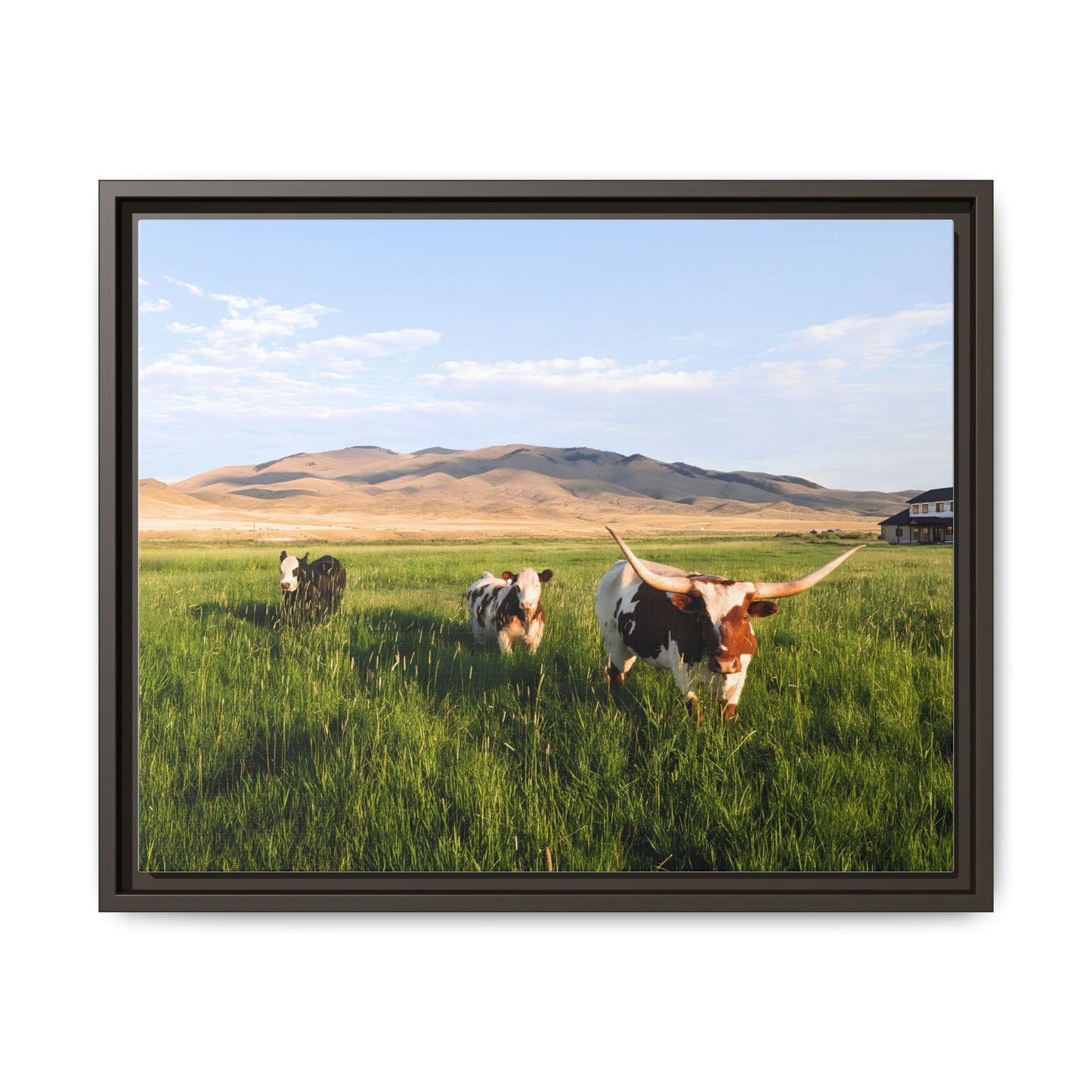 Grasslands Metal Printed Frame