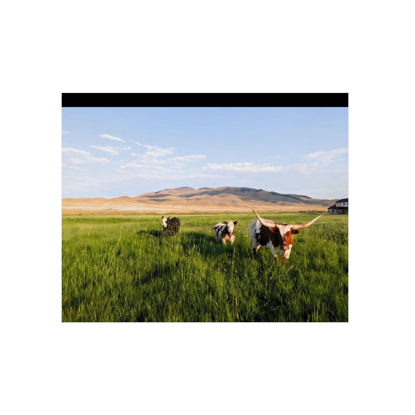 Grasslands Aluminum Composite Panels
